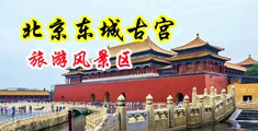美国黑人大鸡吧干女的喷水视频中国北京-东城古宫旅游风景区